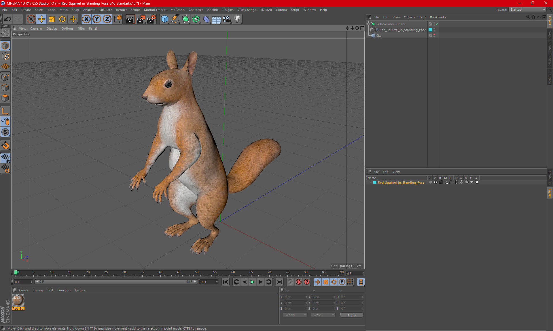 Red Squirrel in Standing Pose 3D model