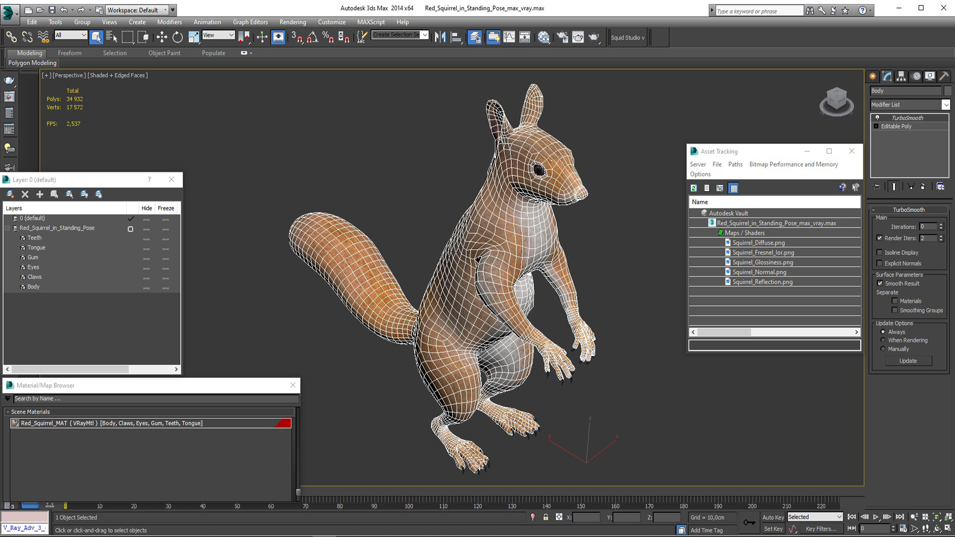 Red Squirrel in Standing Pose 3D model