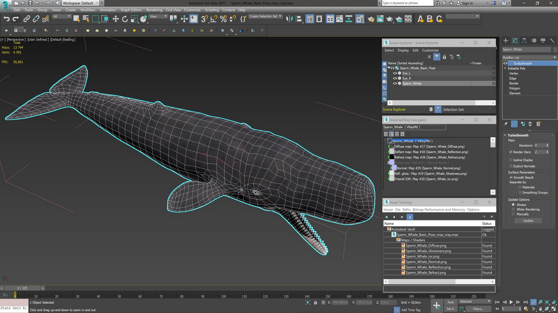 Sperm Whale Basic Pose 3D