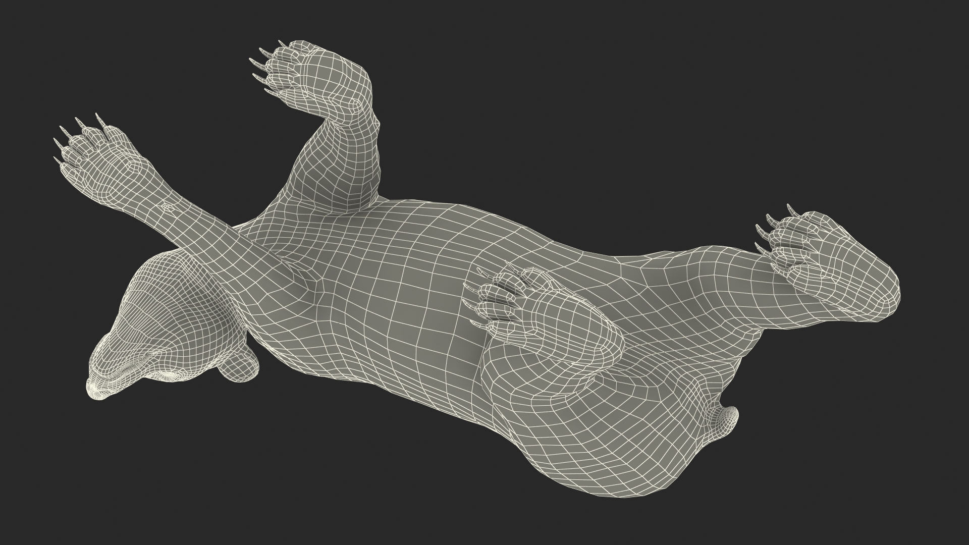 Young Black Bear in Walking 3D