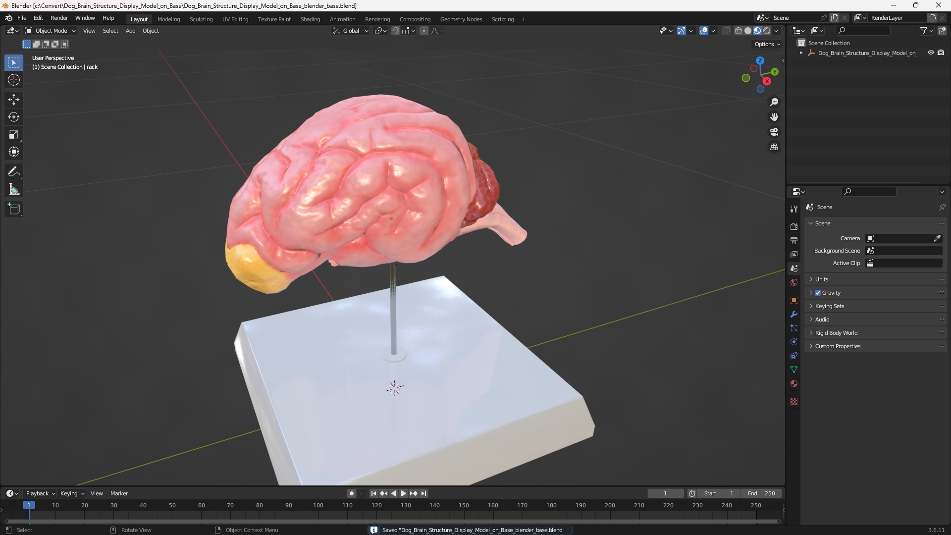 Dog Brain Structure Display Model on Base, view 9