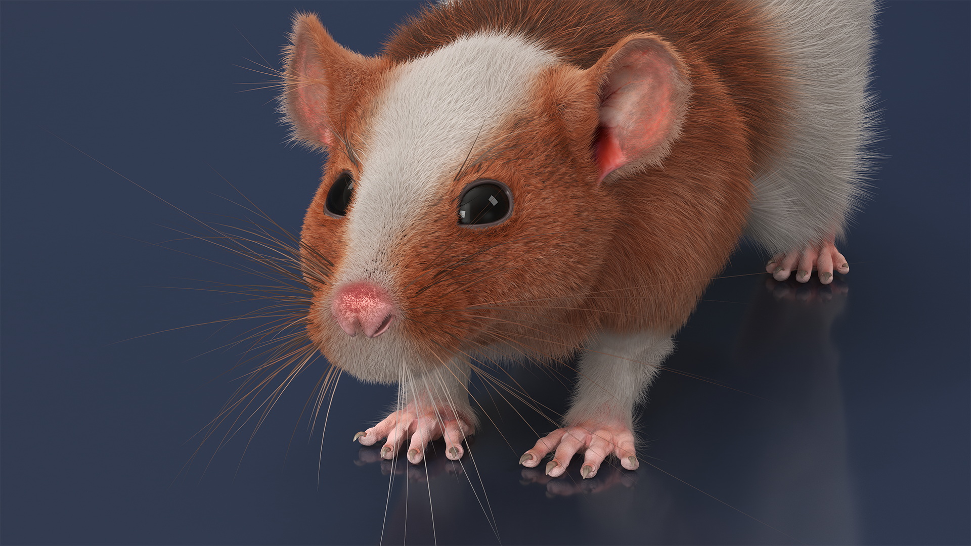 3D Standart Rat Fur