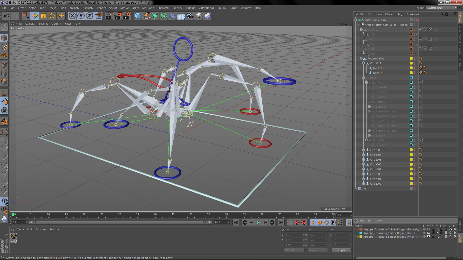 Argiope Trifasciata Spider Rigged for Cinema 4D 3D