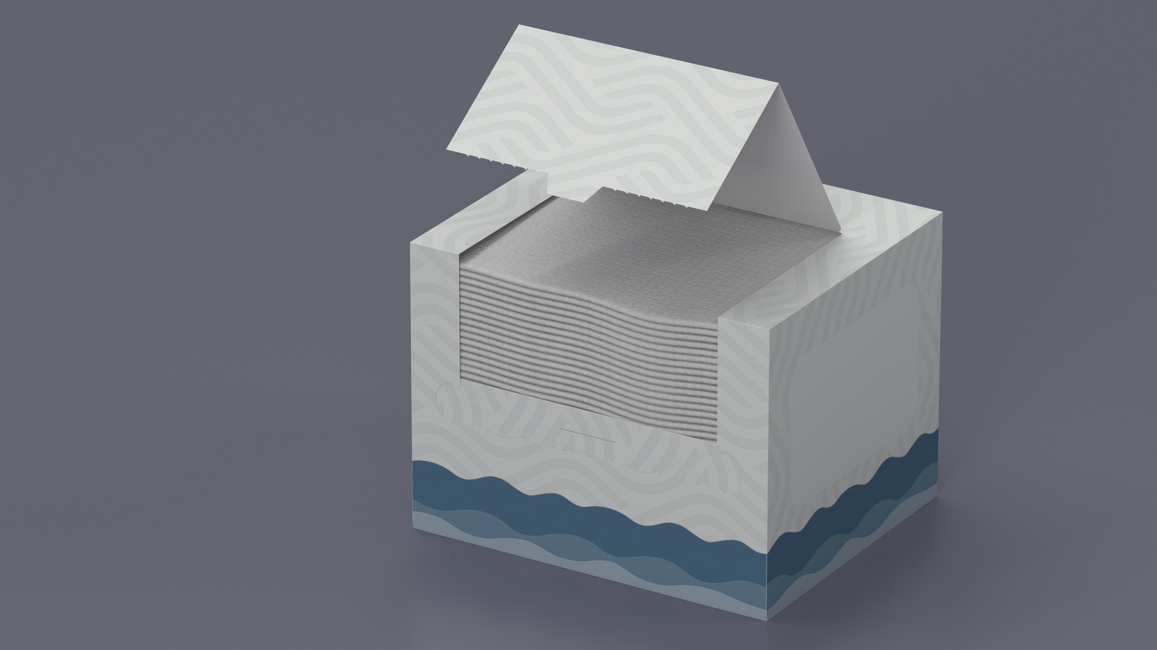 3D Mockup Clean Paper Towel Box model