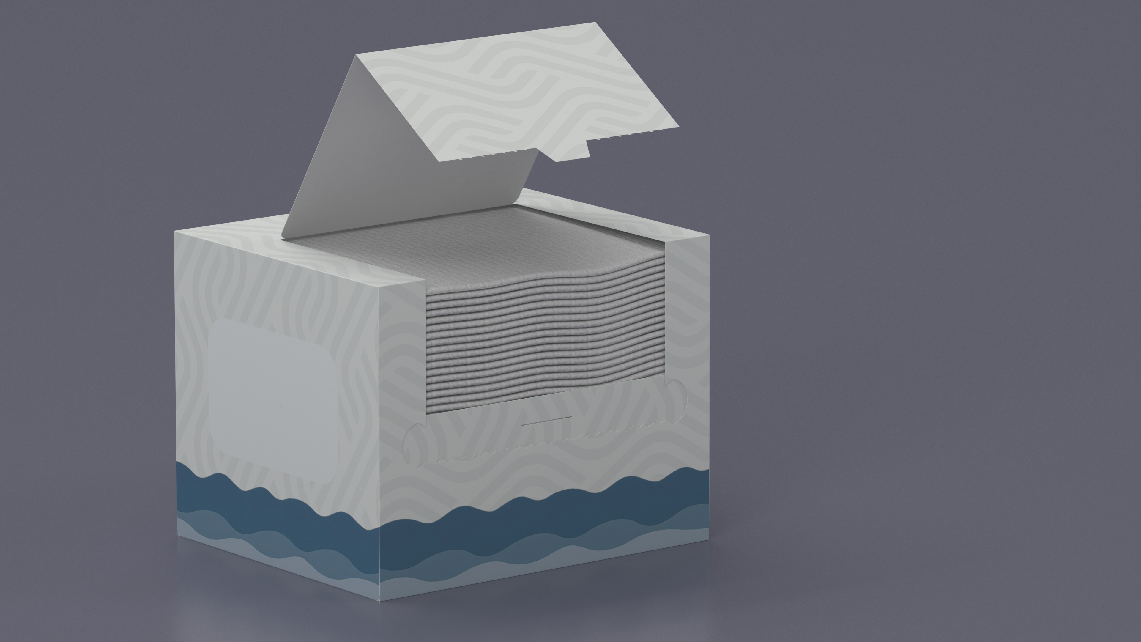 3D Mockup Clean Paper Towel Box model