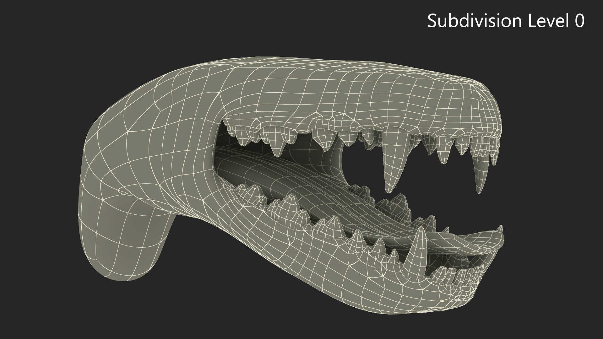 3D Dog Jaw Anatomic Rigged model