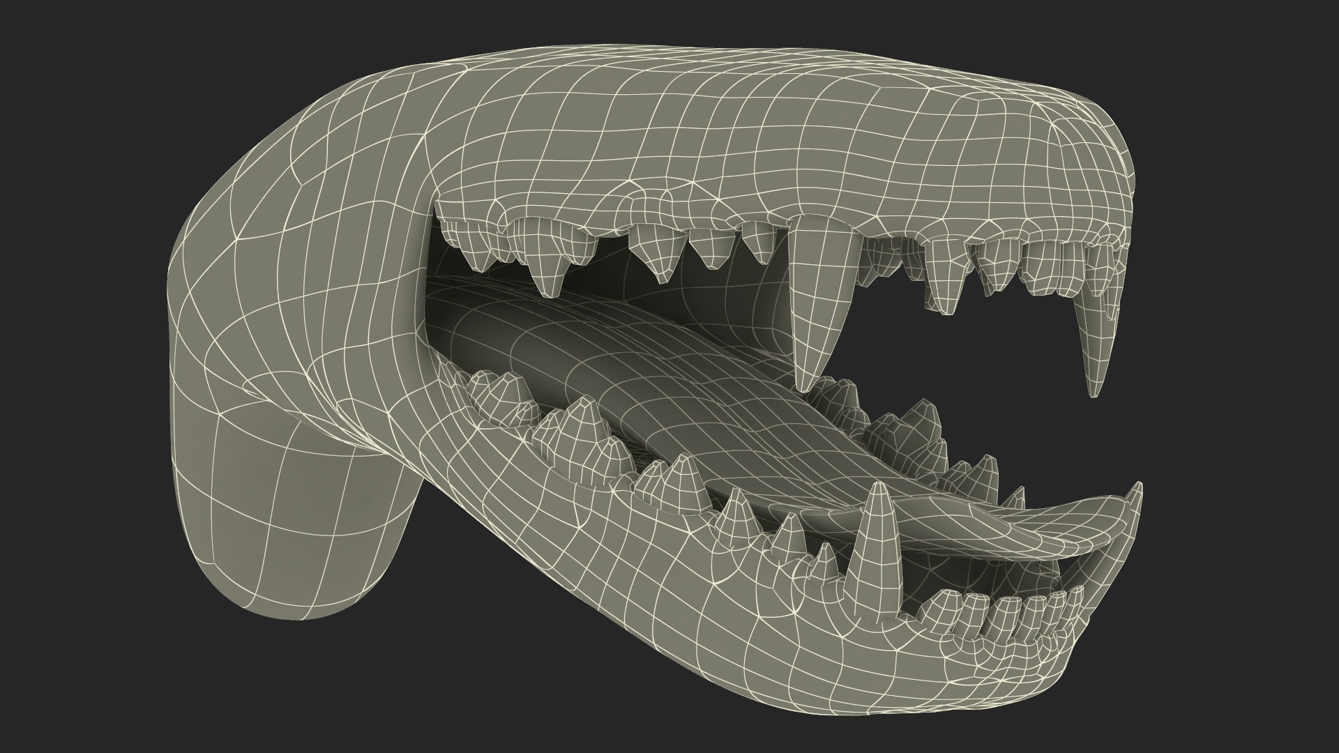 3D Dog Jaw Anatomic Rigged model