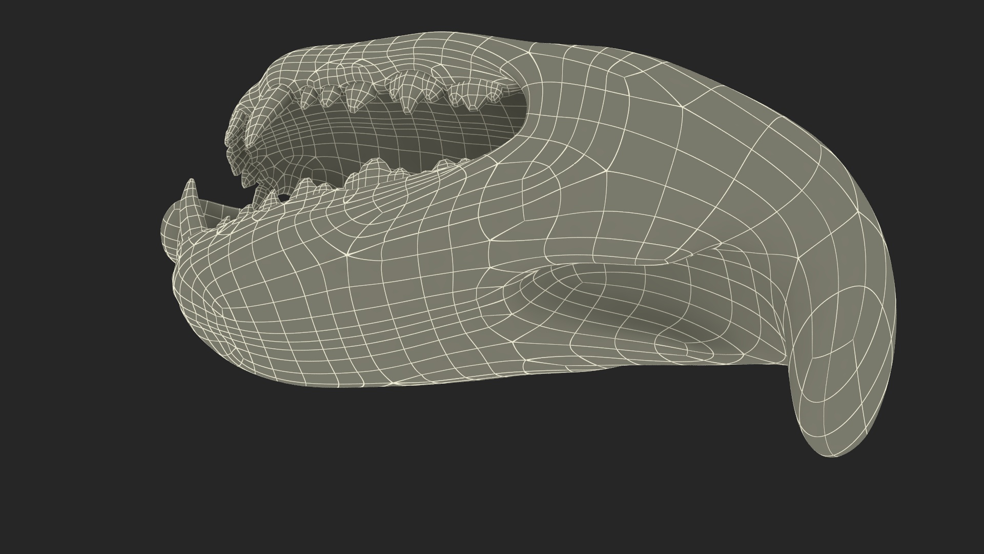 3D Dog Jaw Anatomic Rigged model