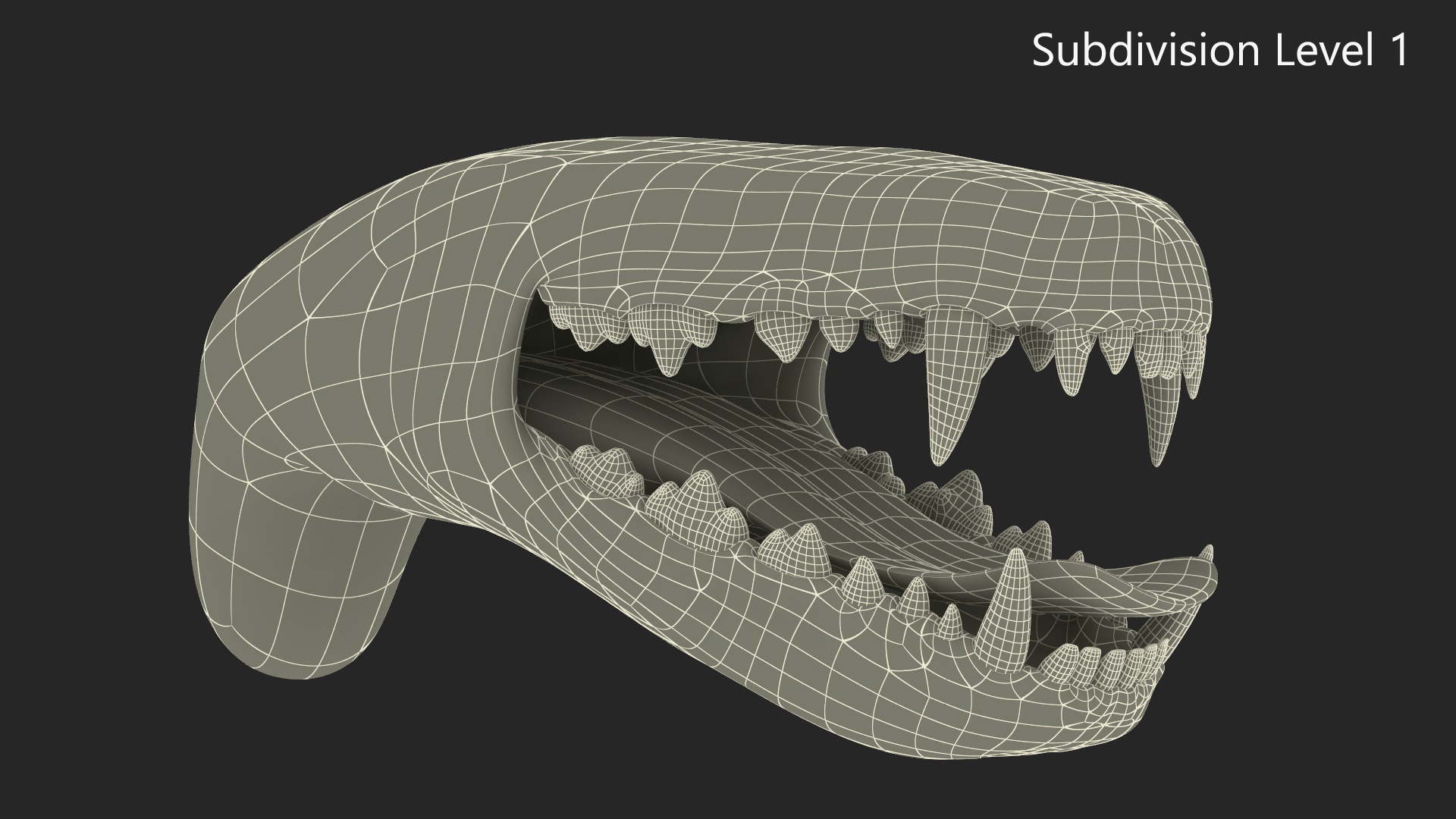 3D Dog Jaw Anatomic Rigged model