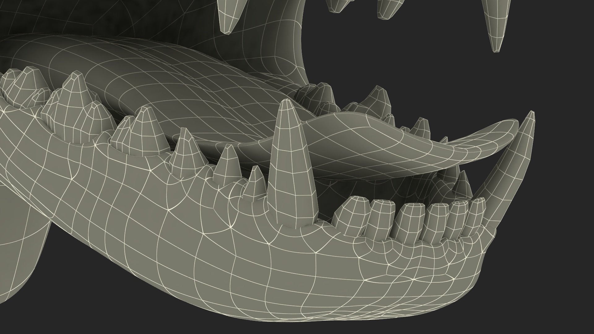 3D Dog Jaw Anatomic Rigged model