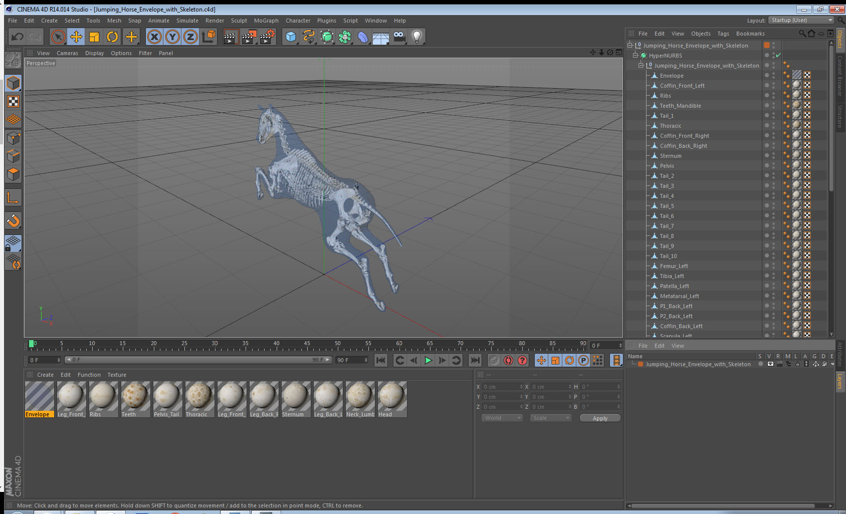 3D Jumping Horse Envelope with Skeleton