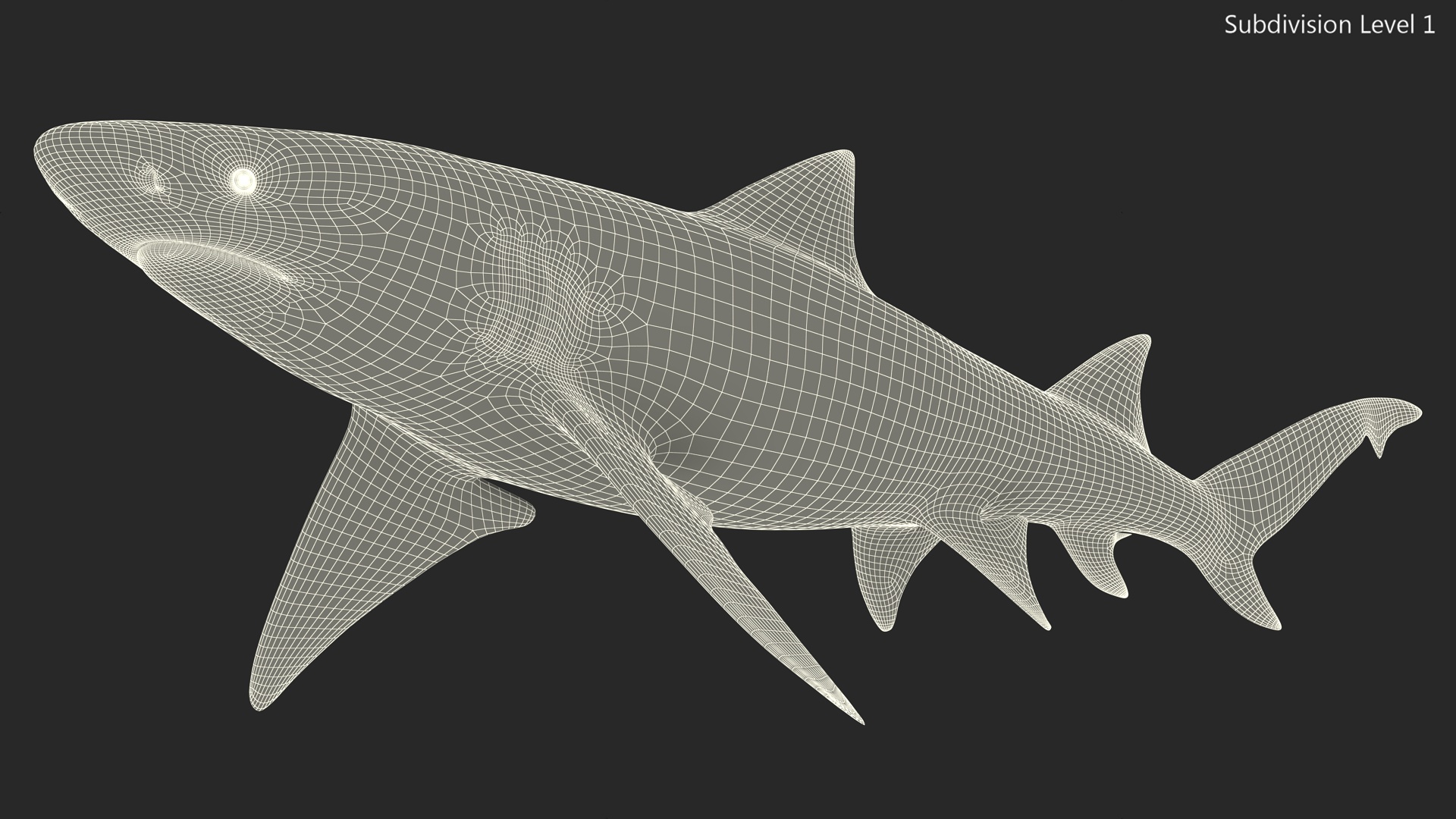 3D Sharptooth Lemon Shark Rigged for Cinema 4D model