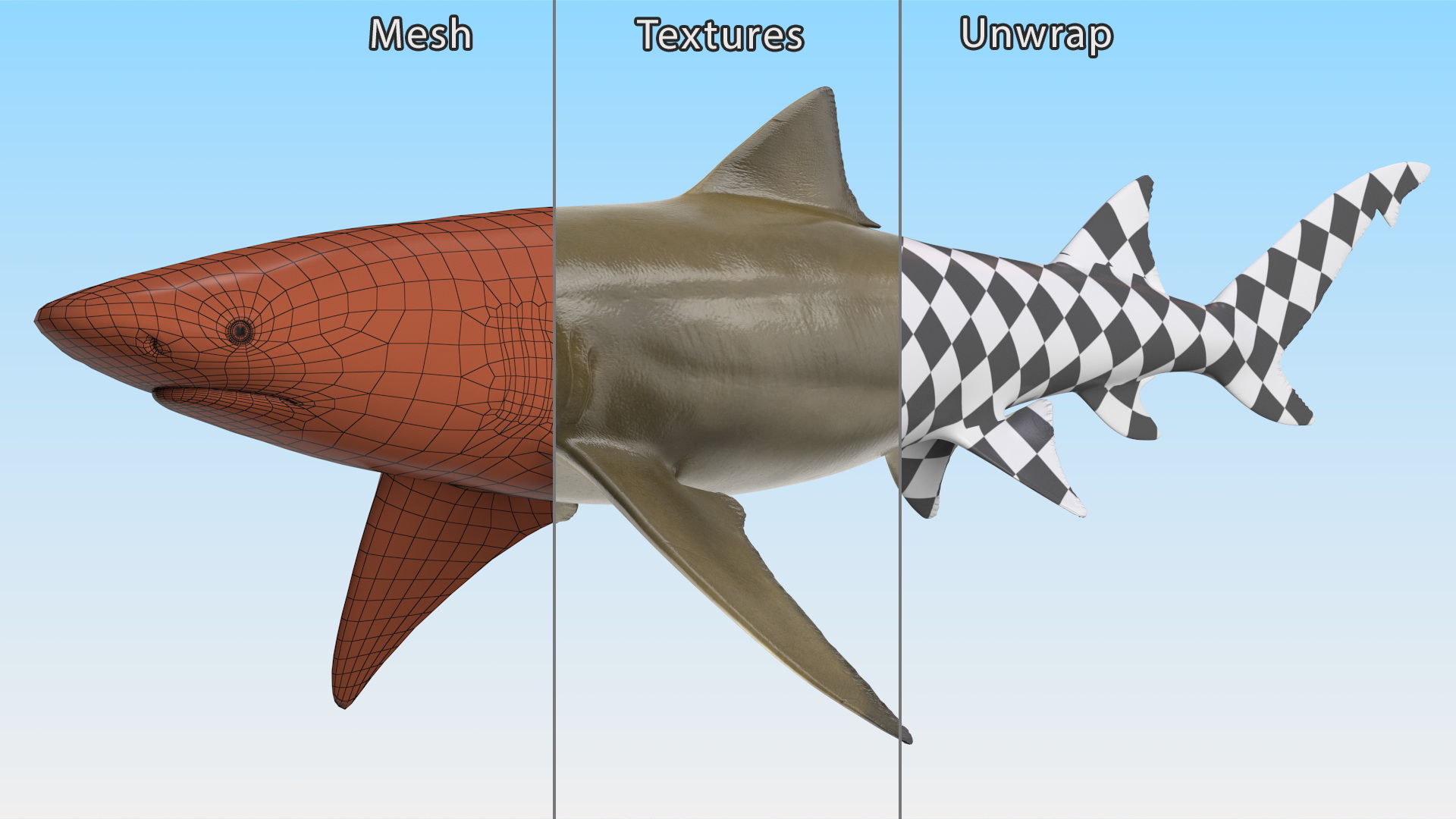 3D Sharptooth Lemon Shark Rigged for Cinema 4D model