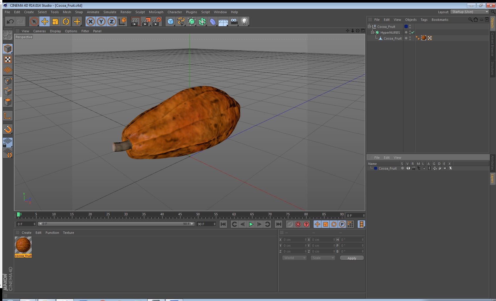3D Cocoa Fruit
