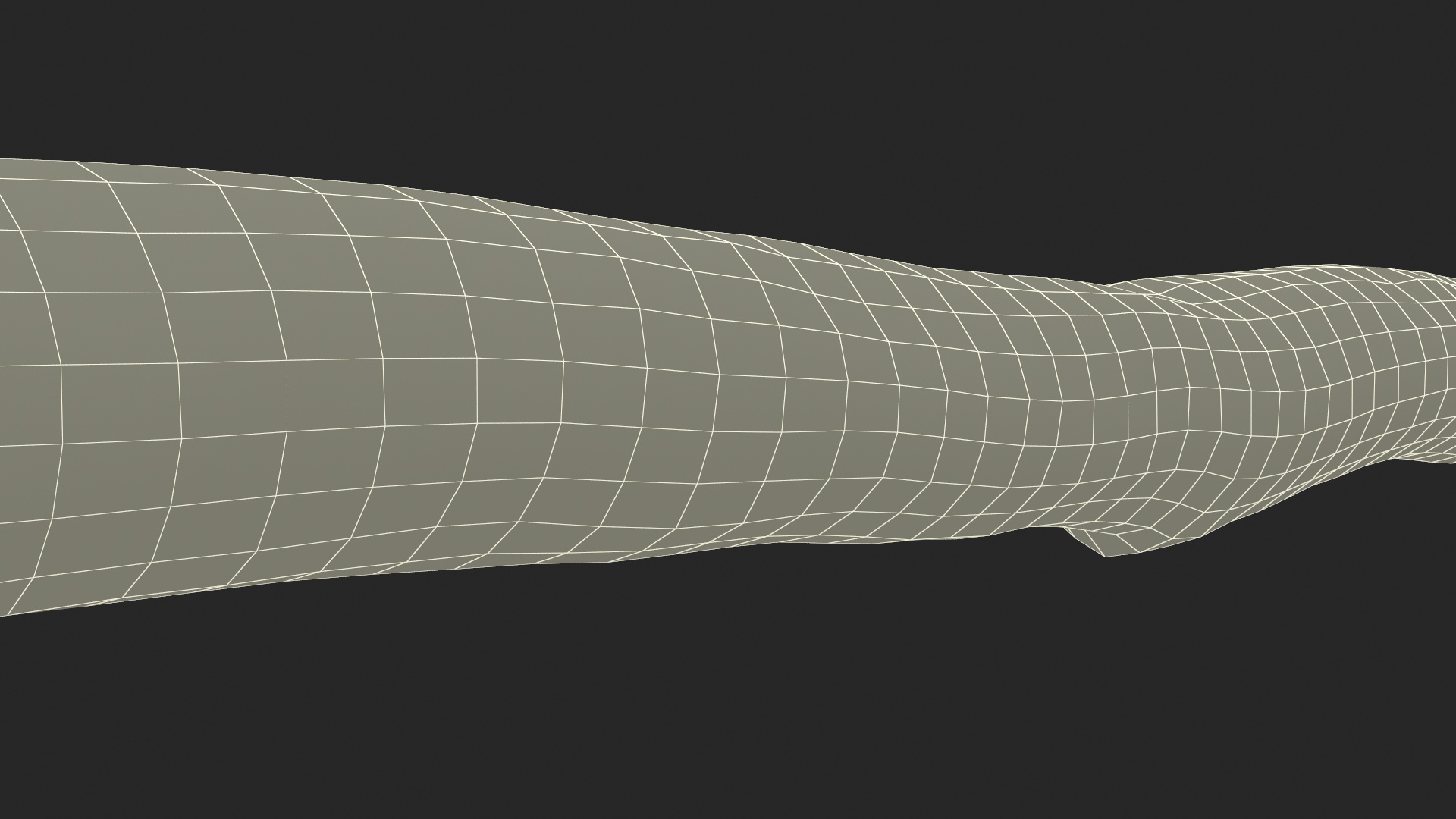 3D model Natural Birch Branch