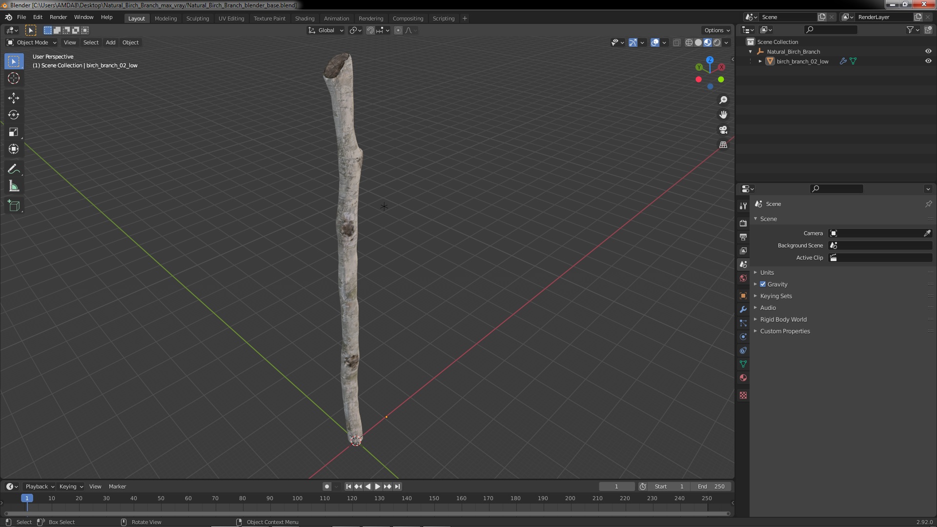 3D model Natural Birch Branch