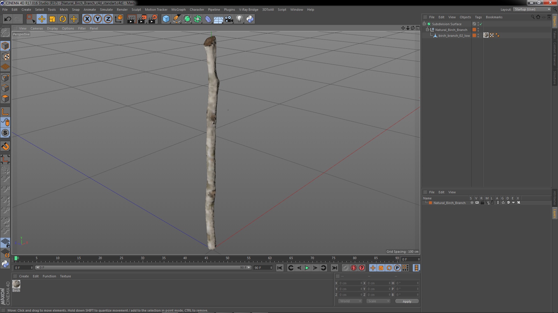 3D model Natural Birch Branch