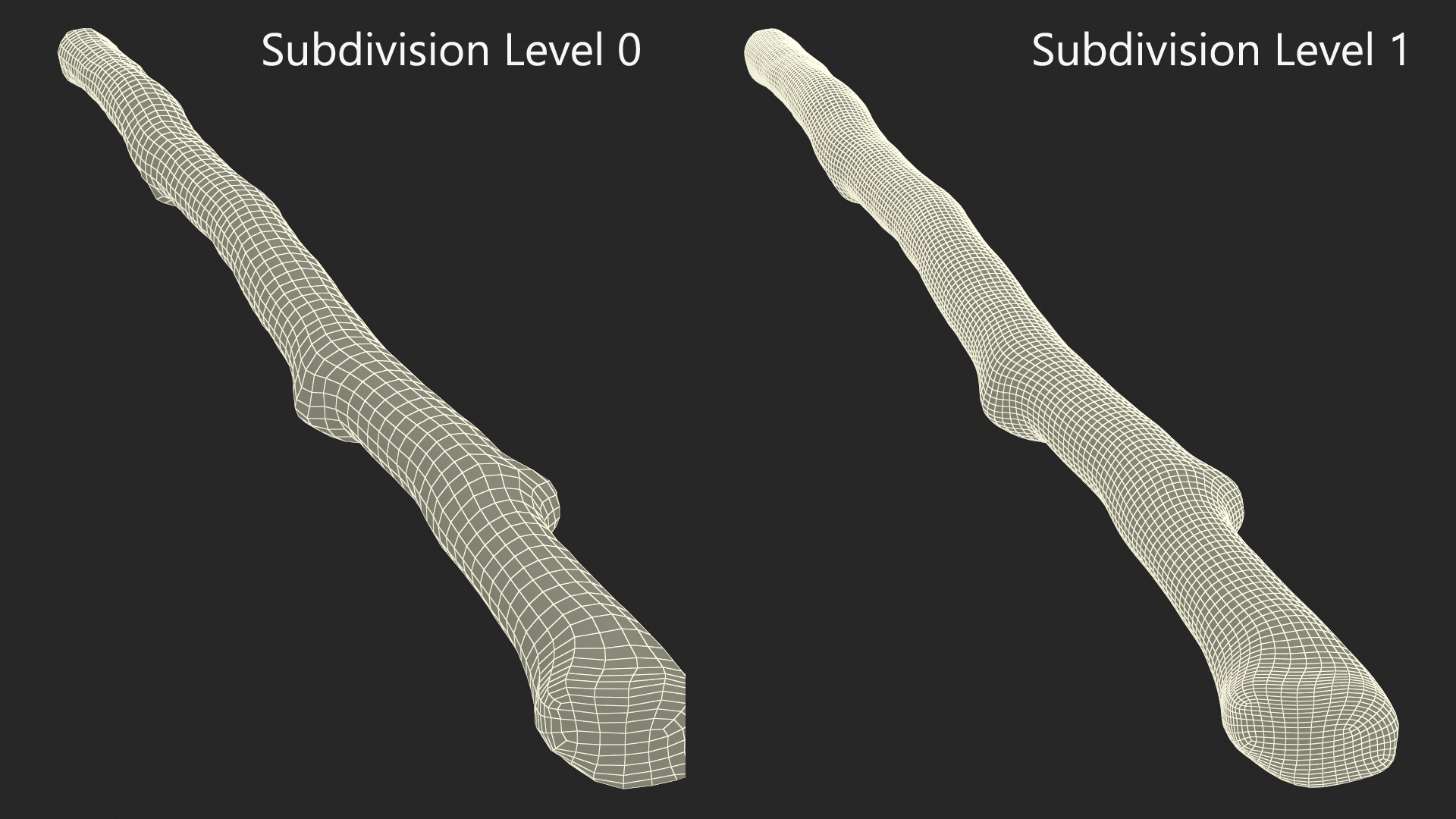 3D model Natural Birch Branch