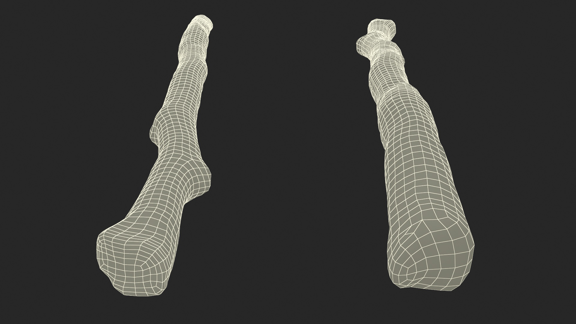 3D model Natural Birch Branch