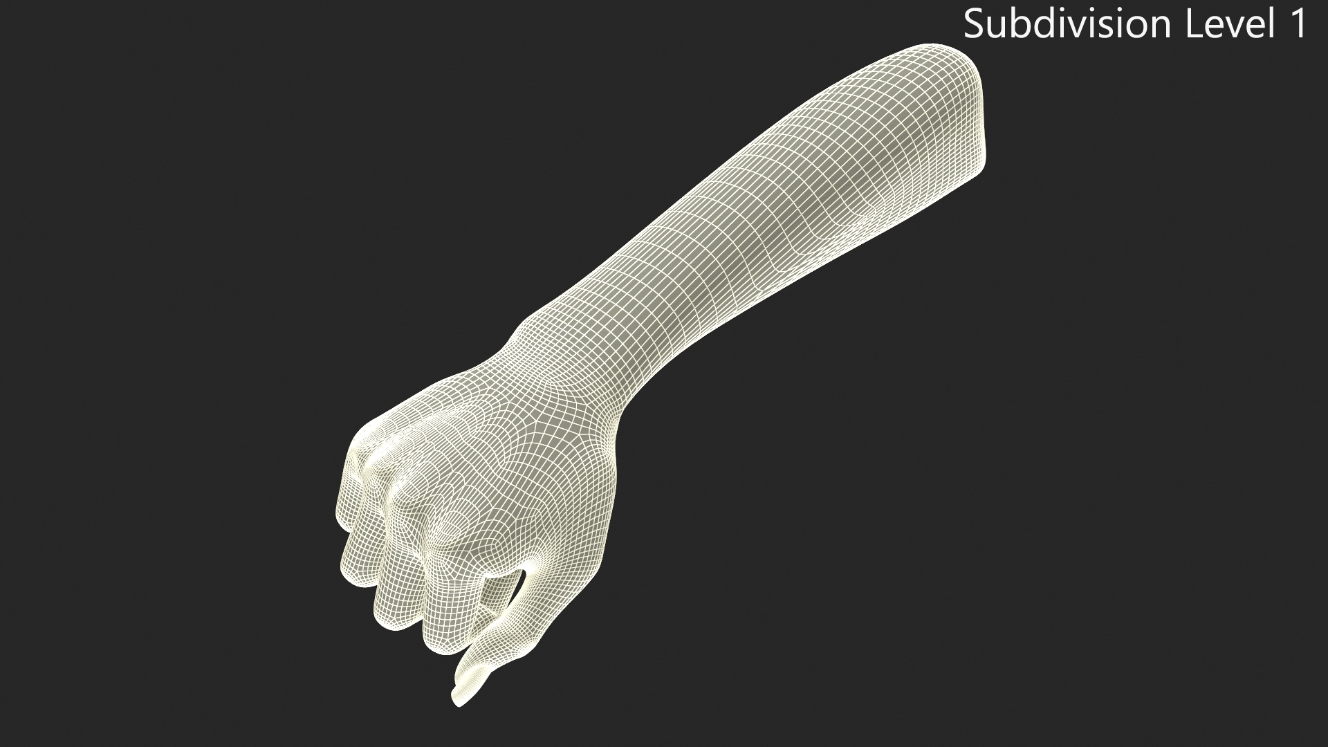 3D Dark Skinned Woman Fist model