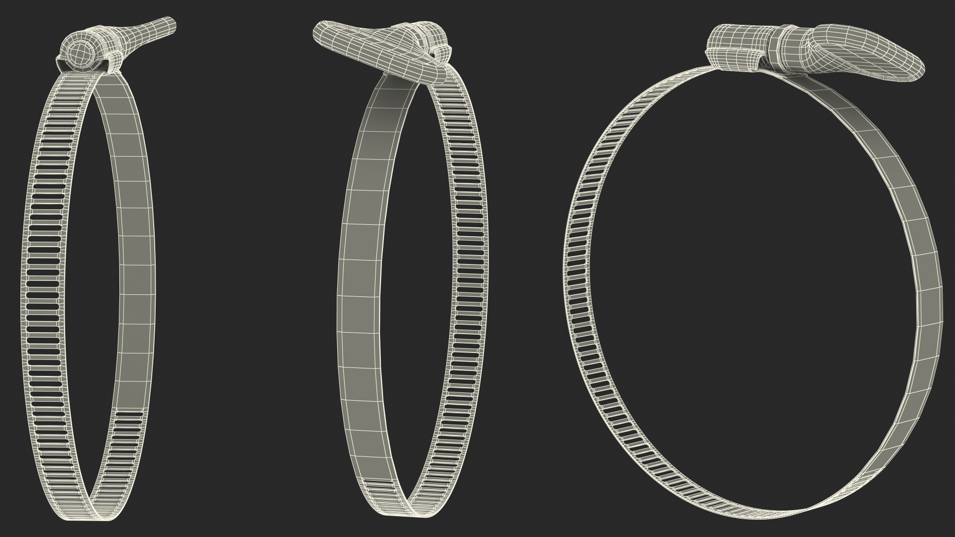 3D Worm Gear Hose Clamp with Key Set model