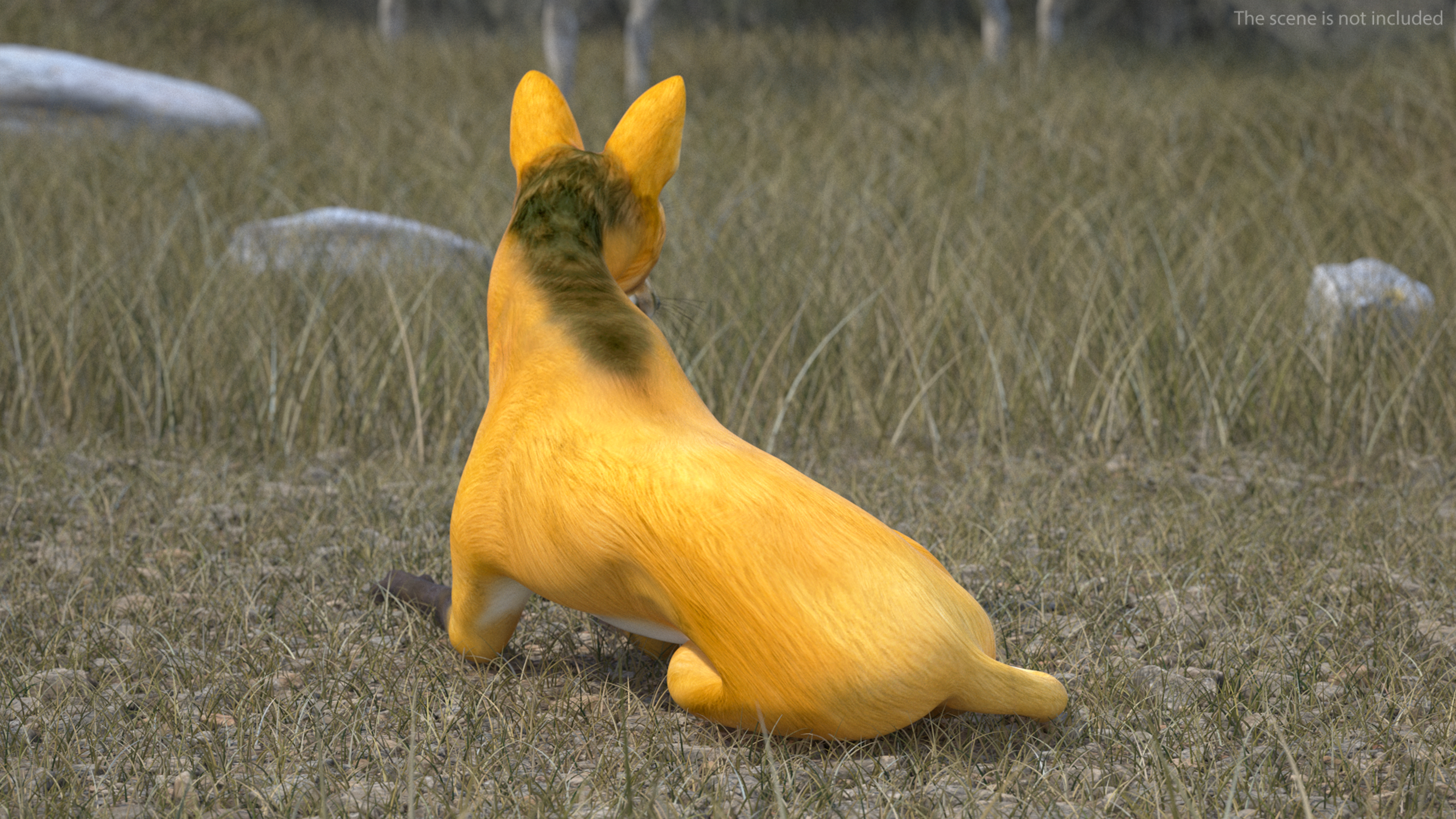3D model Chrysocyon Reclining