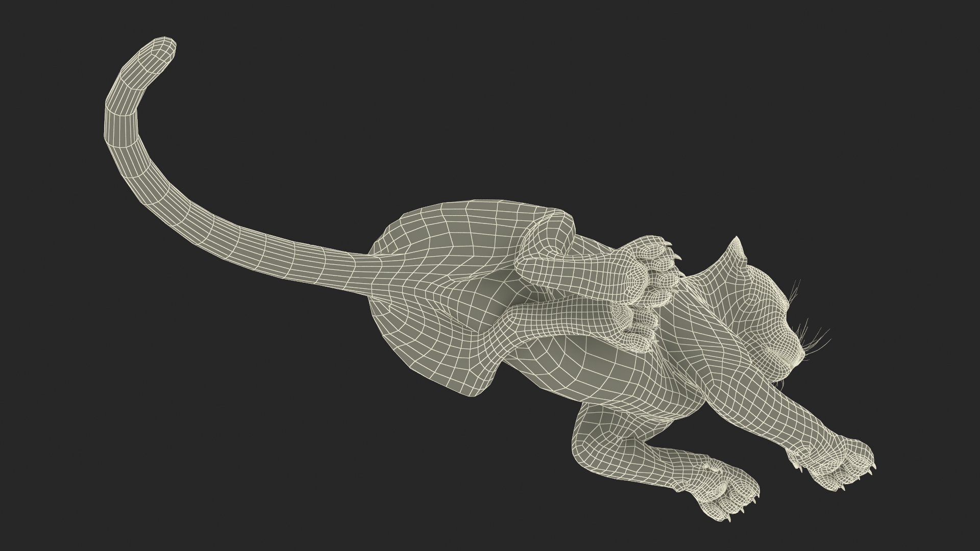 3D Snow Leopard Lying Down model