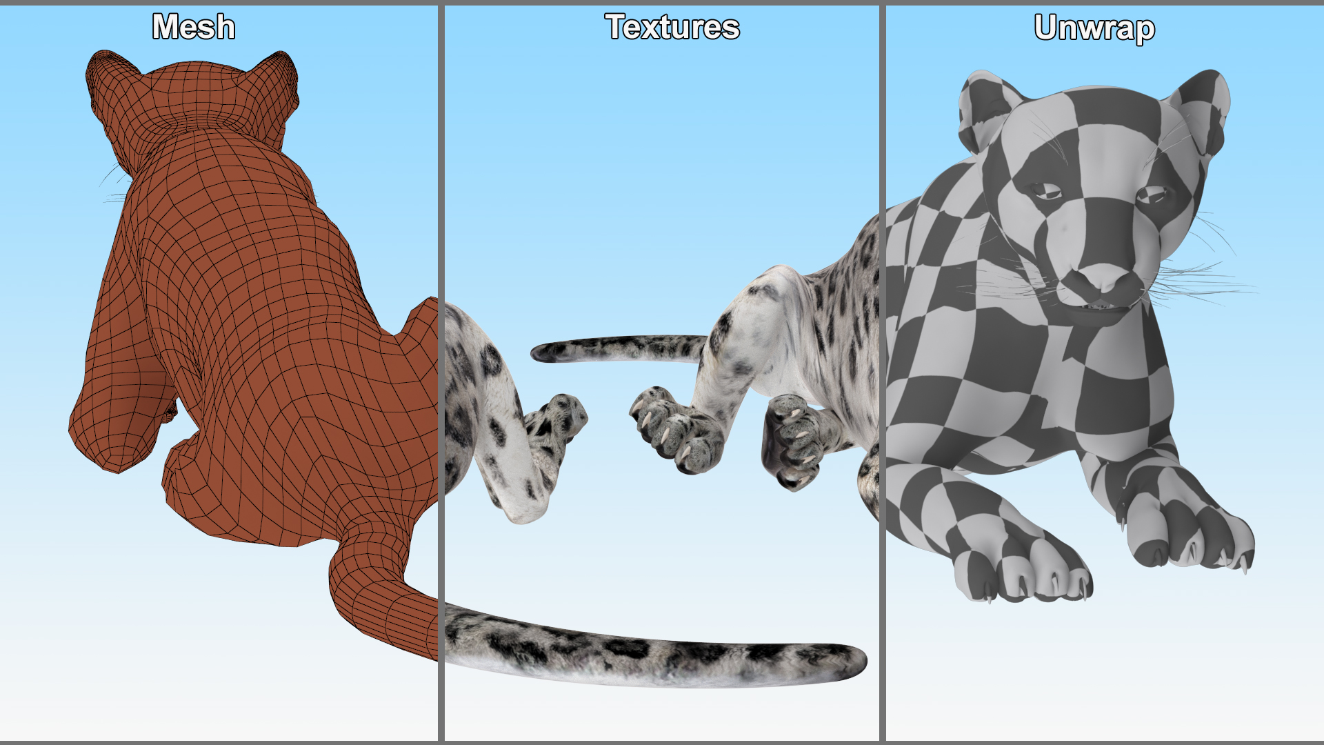 3D Snow Leopard Lying Down model