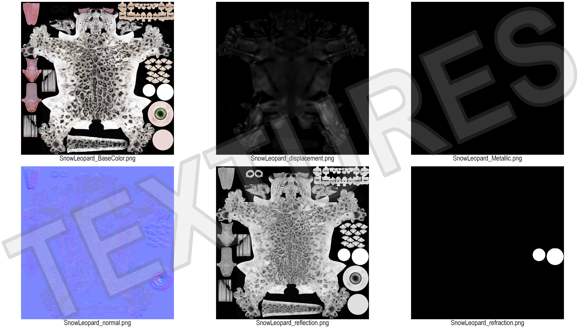 3D Snow Leopard Lying Down model