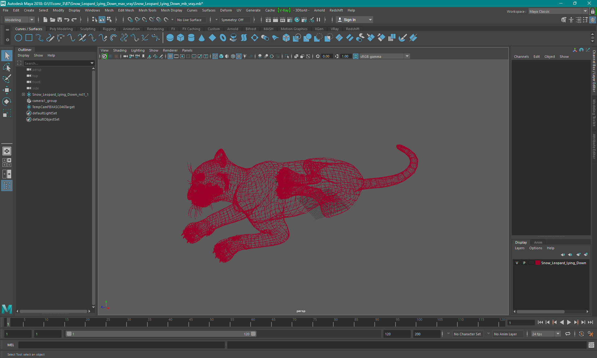 3D Snow Leopard Lying Down model