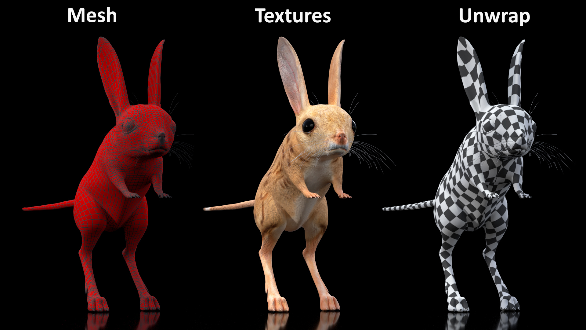 Desert Jerboa Rigged for Cinema 4D 3D model