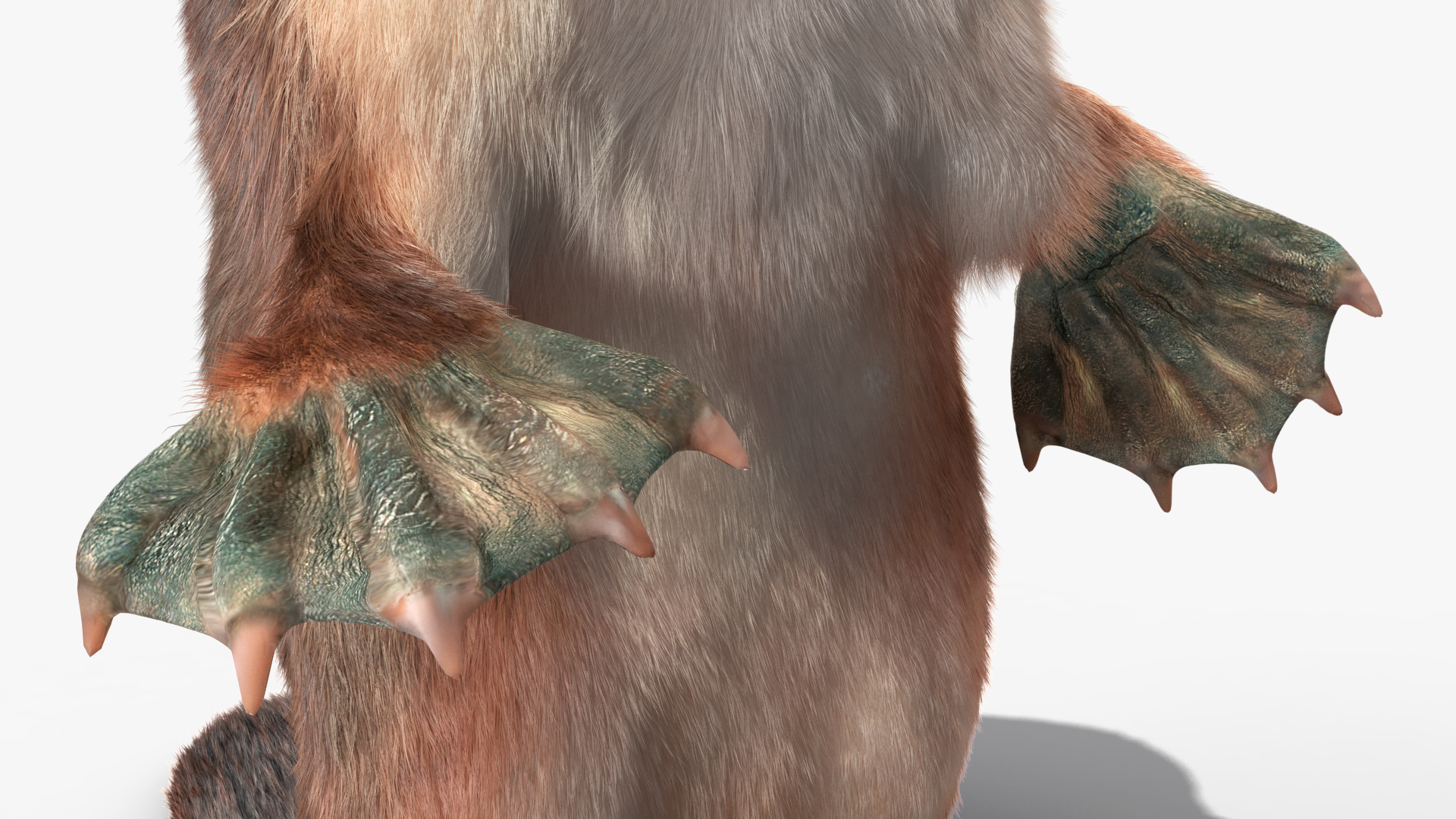 3D Platypus Standing Fur