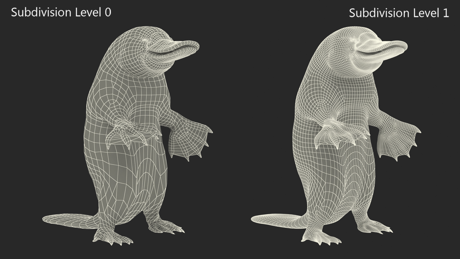 3D Platypus Standing Fur