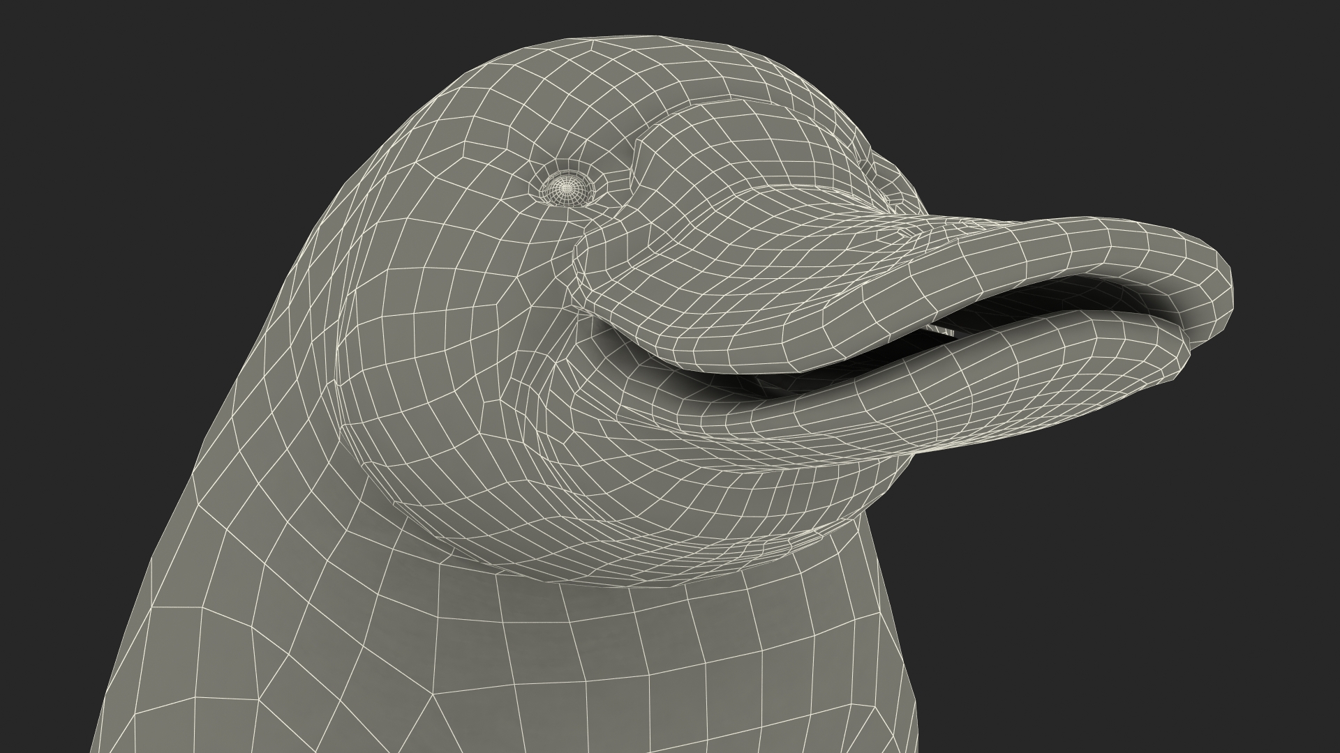 3D Platypus Standing Fur