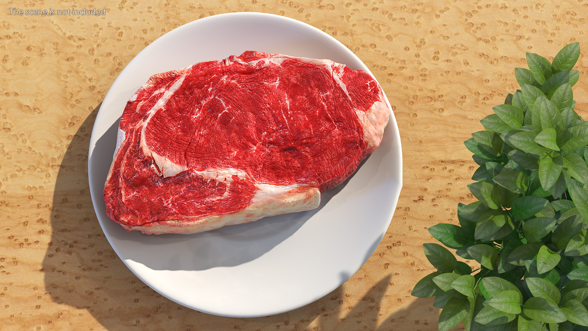 3D Meat Slice Fresh