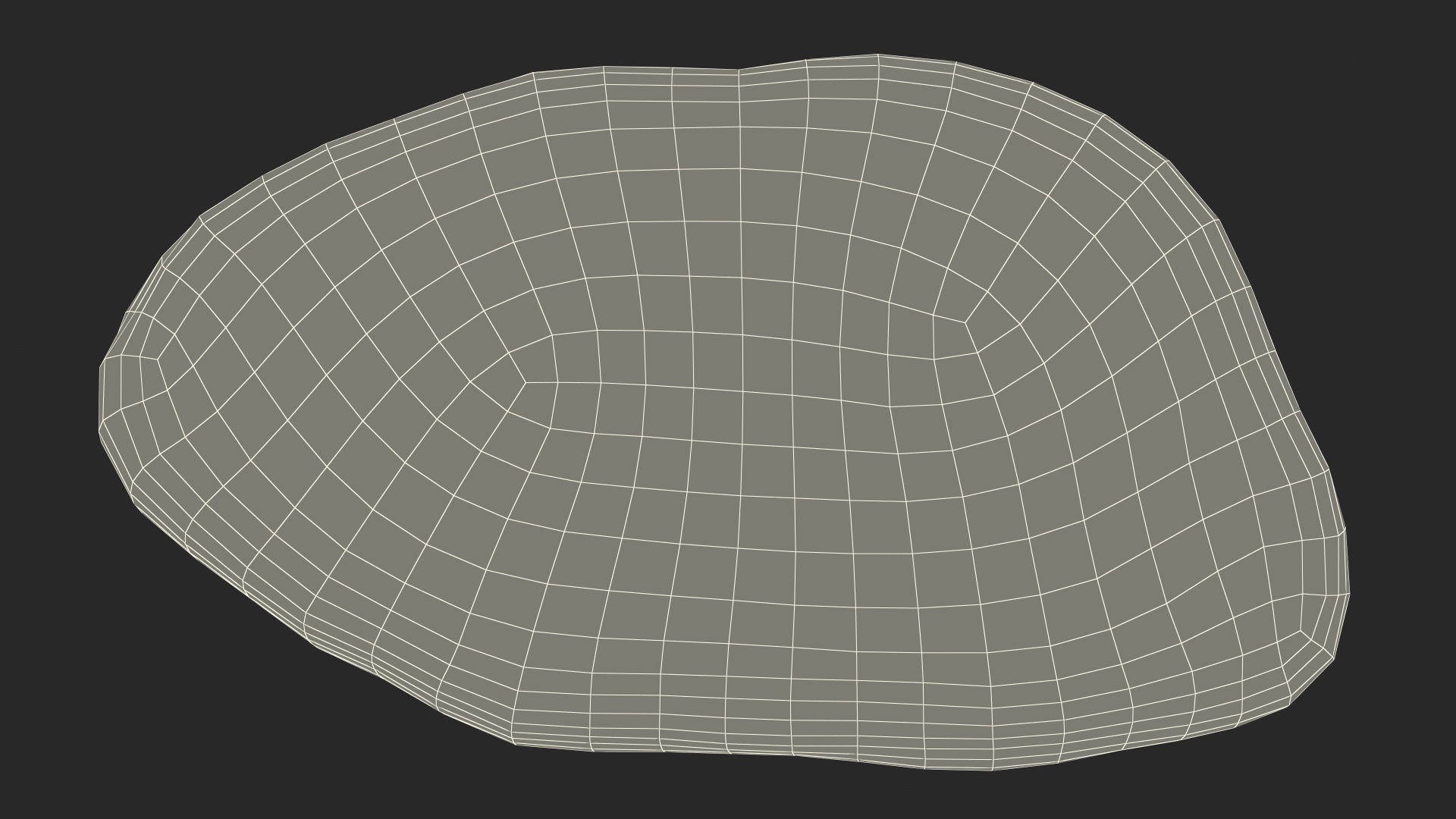 3D Meat Slice Fresh