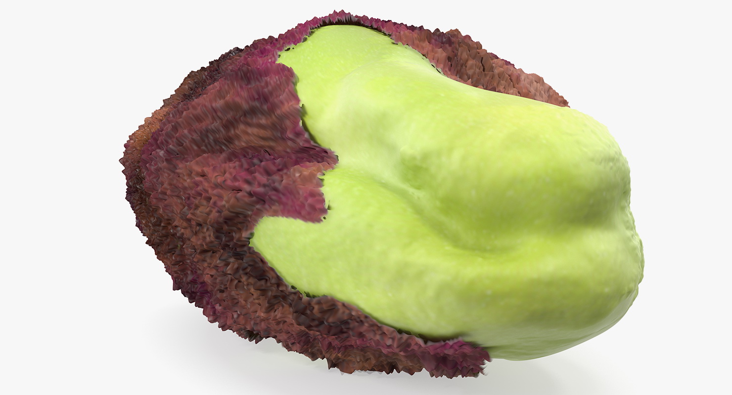 Pistachio Peel 3D model