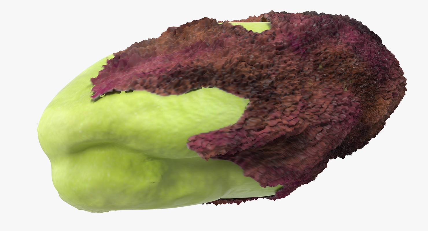 Pistachio Peel 3D model