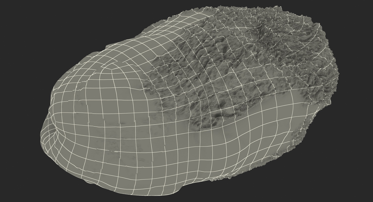 Pistachio Peel 3D model