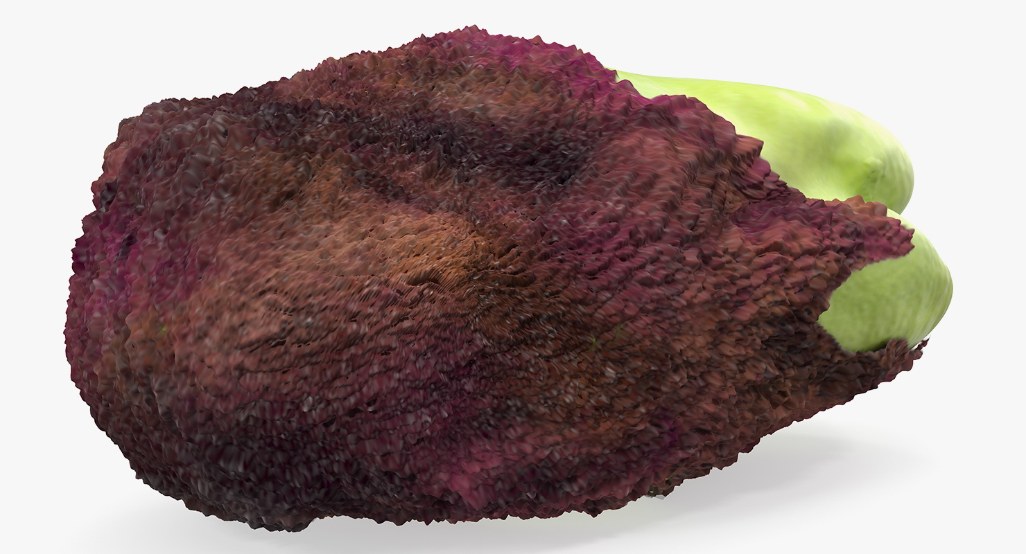Pistachio Peel 3D model