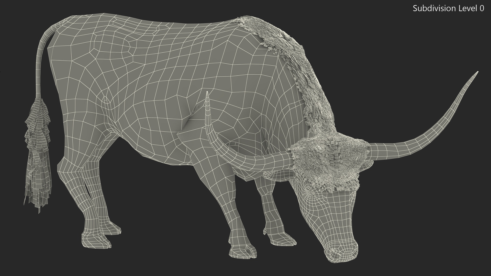 3D Texas Longhorn Cattle White Color model
