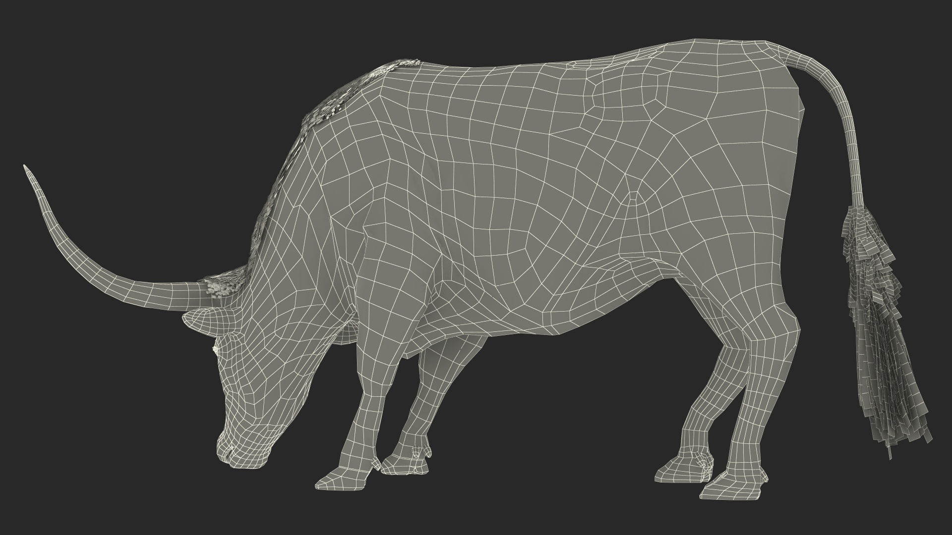 3D Texas Longhorn Cattle White Color model