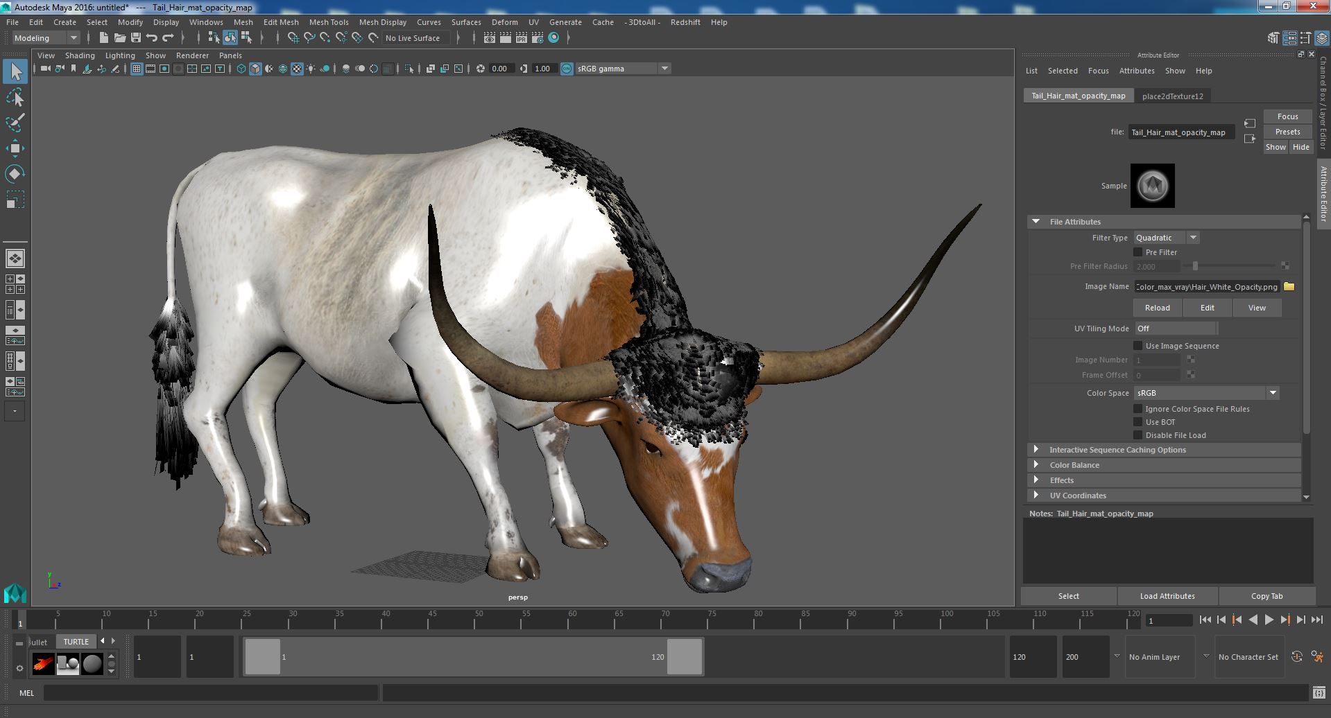 3D Texas Longhorn Cattle White Color model