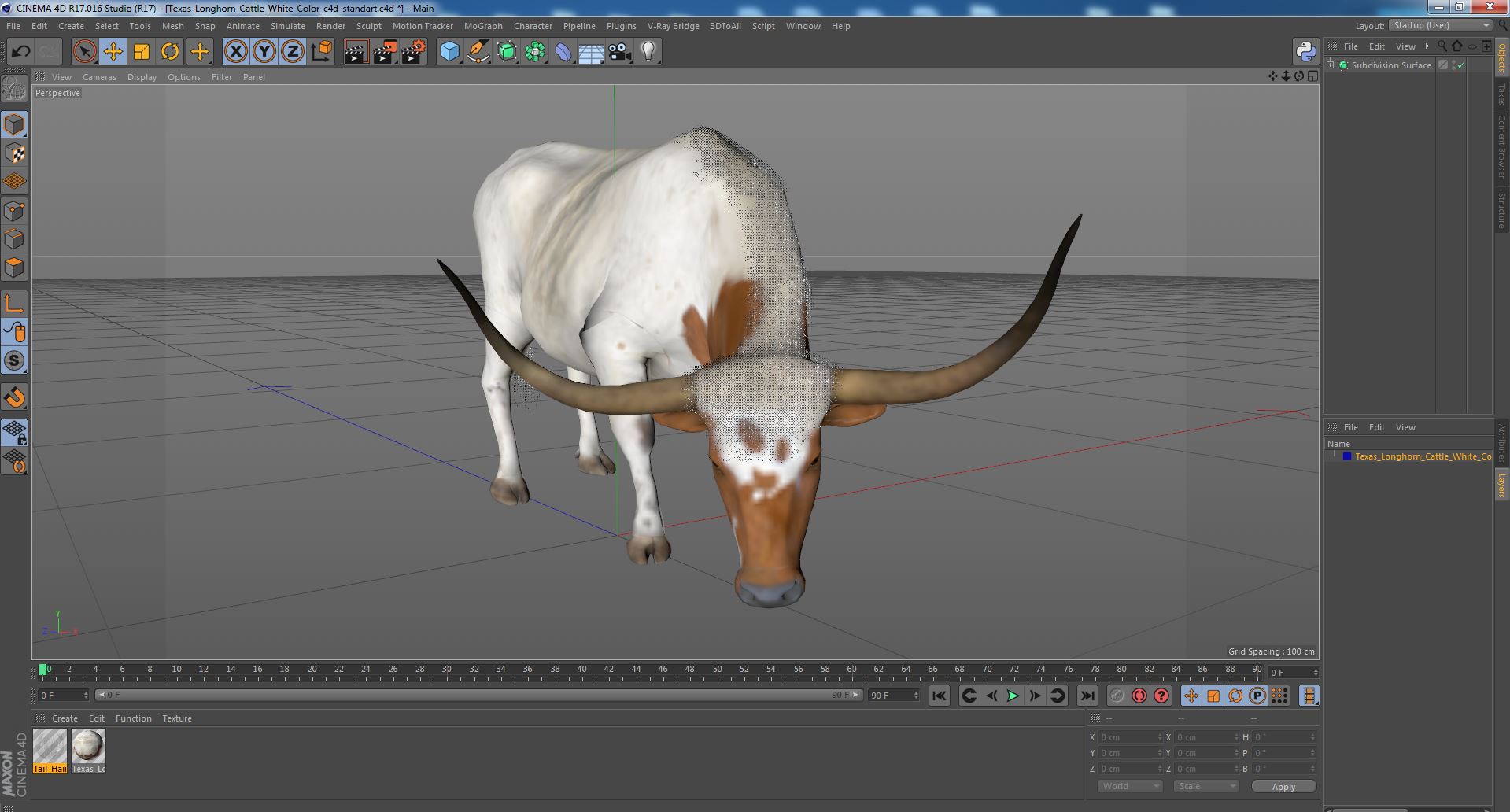 3D Texas Longhorn Cattle White Color model