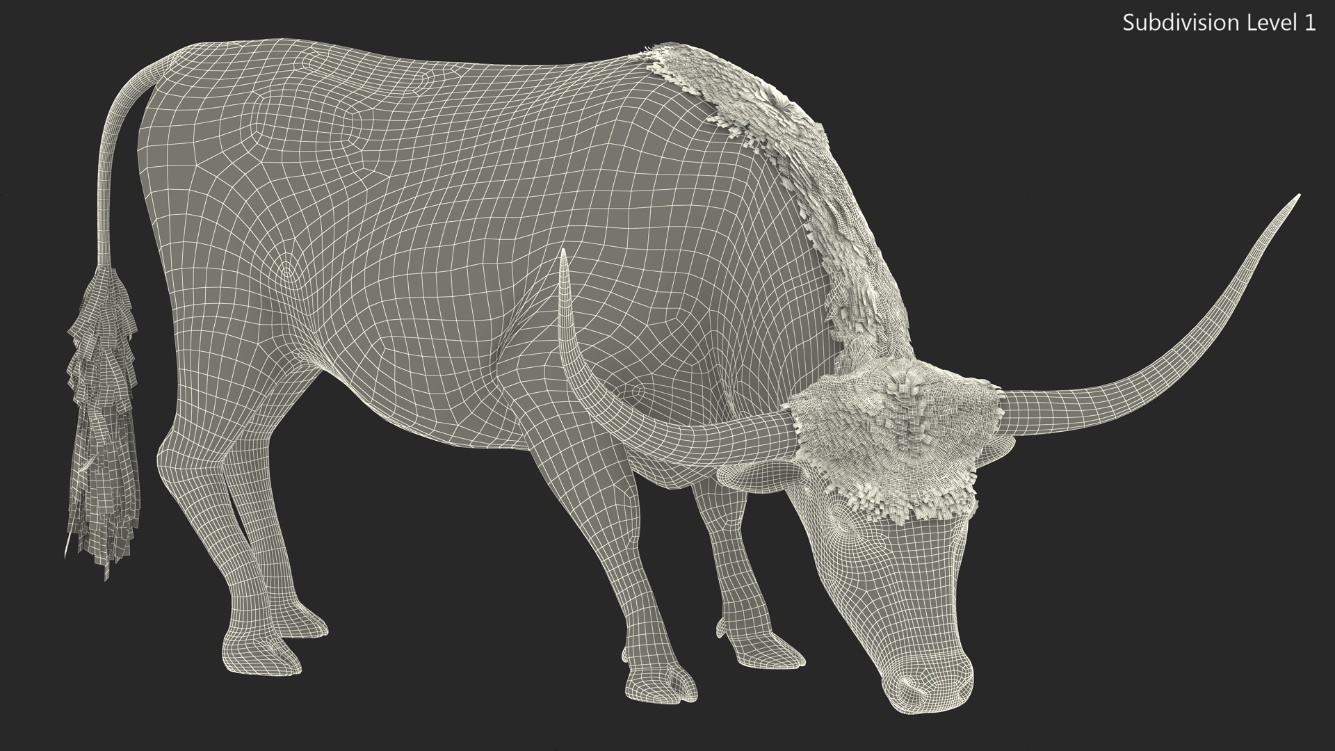 3D Texas Longhorn Cattle White Color model