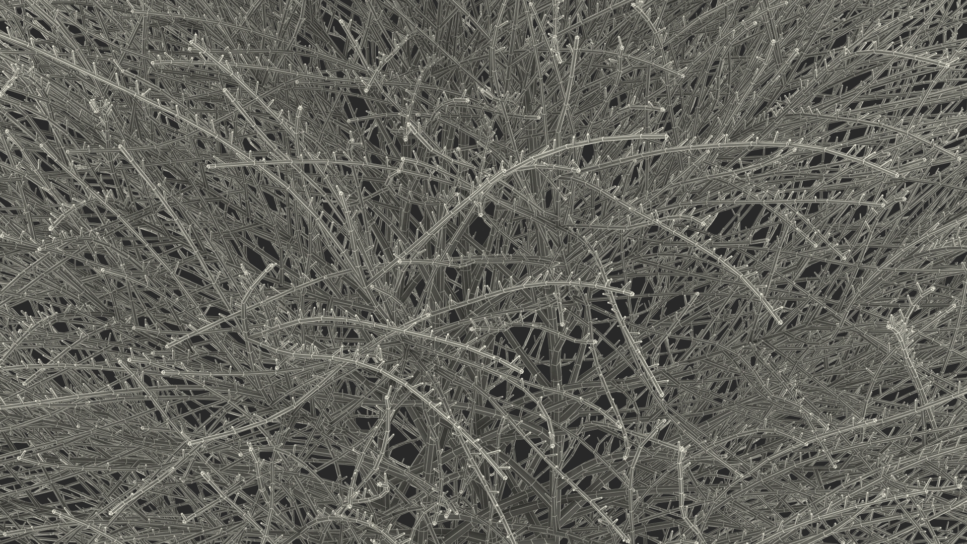 3D model Shrub Bark