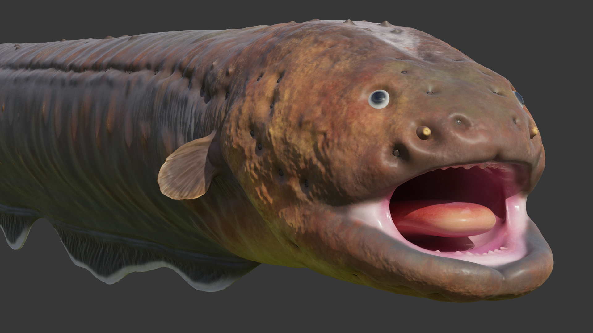 Electric Eel 3D
