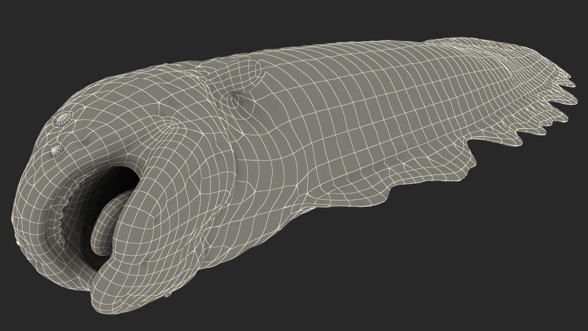 Electric Eel 3D