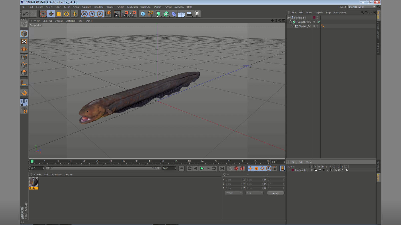 Electric Eel 3D