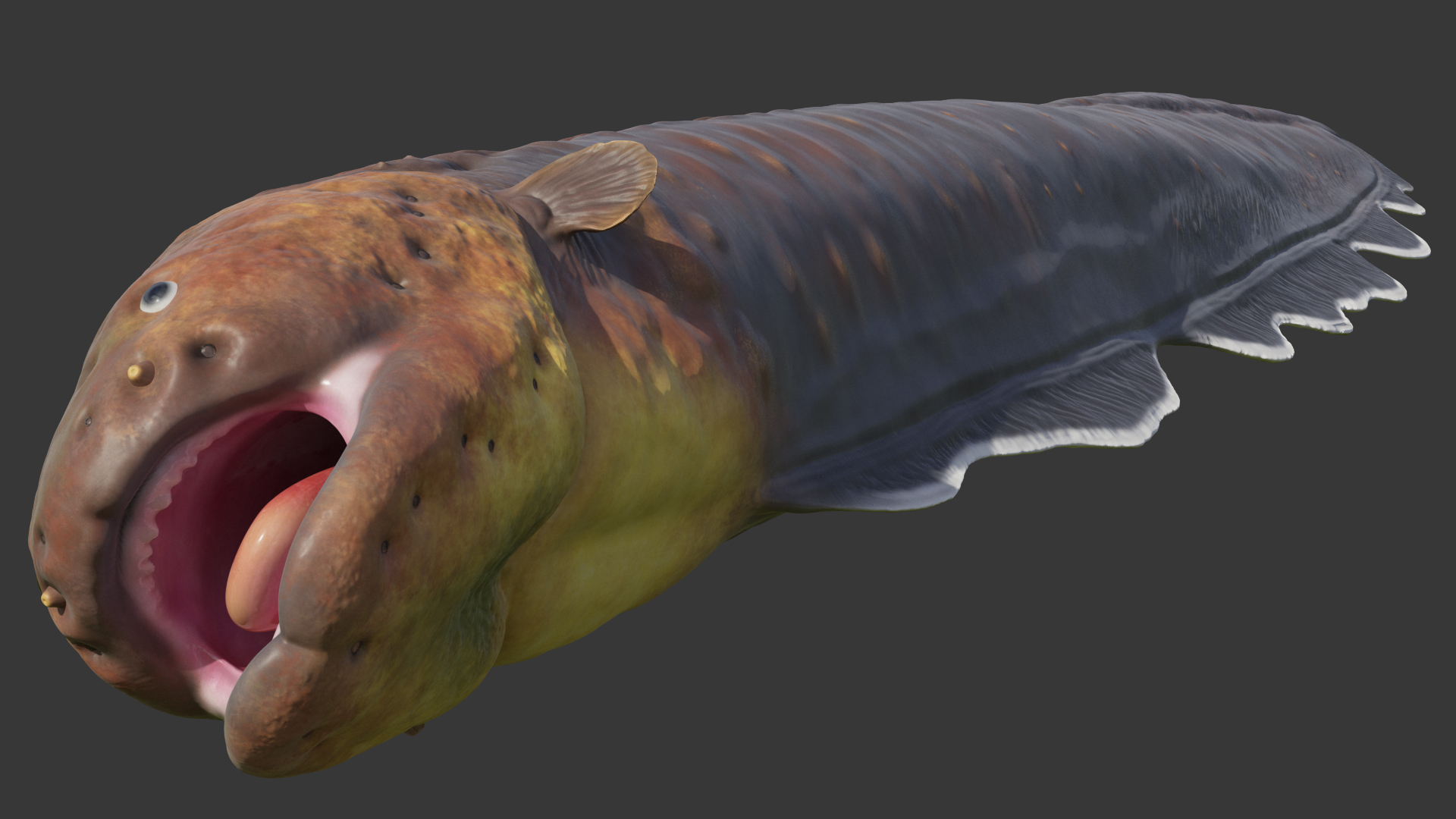Electric Eel 3D